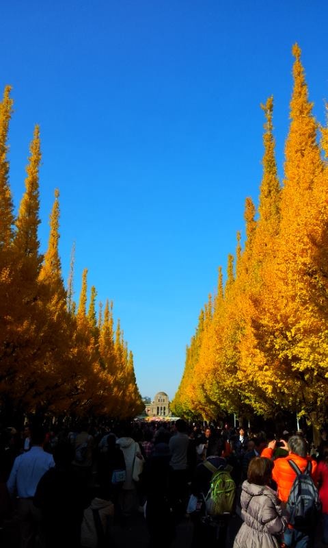 b0255824_20502250.jpg