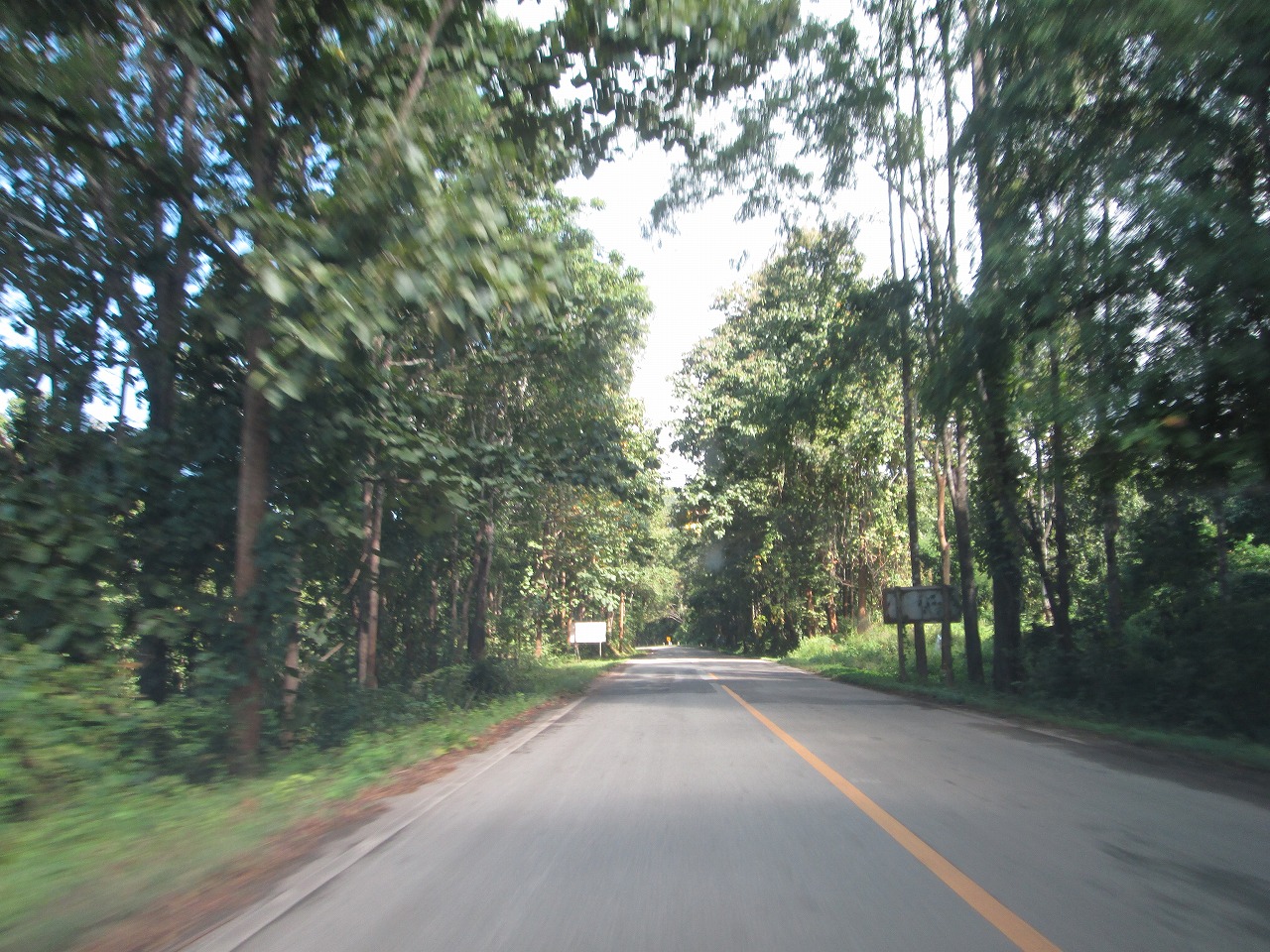 d0159325_23373845.jpg