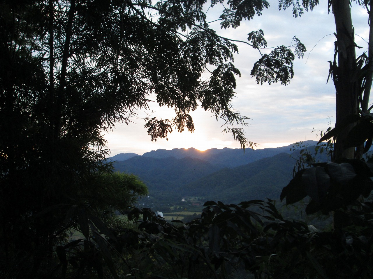 d0159325_23532097.jpg