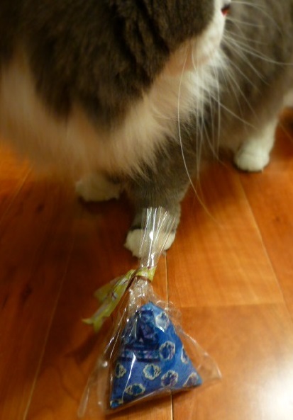 猫のためのマッサージセミナーに参加_e0237625_16532577.jpg