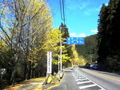 f0213825_8493885.jpg