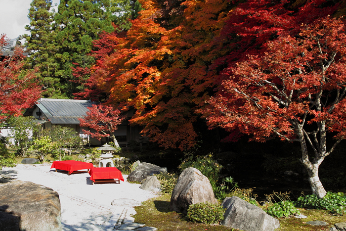 紅葉の南禅寺・哲学の路 －南禅寺・方丈－_b0169330_714773.jpg