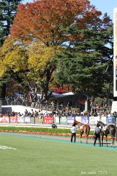 c0240132_5593219.jpg