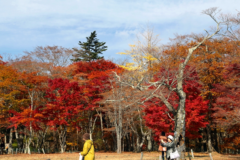 軽井沢　　見晴台（１）_f0229832_921306.jpg