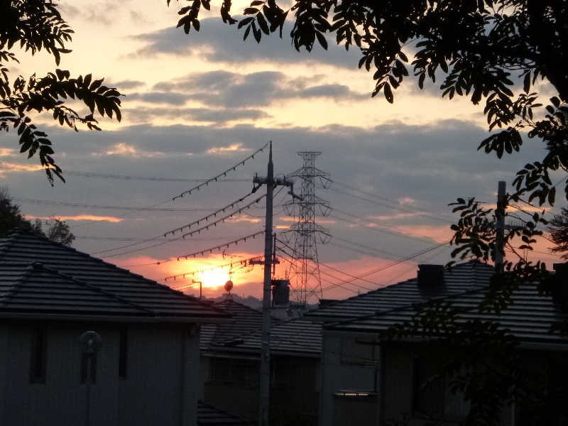 c0113733_1433063.jpg