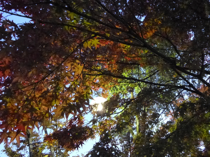 c0113733_1433932.jpg