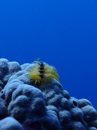 リフレッシュ!_d0113636_112695.jpg