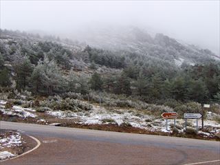 e0120938_07511927.jpg