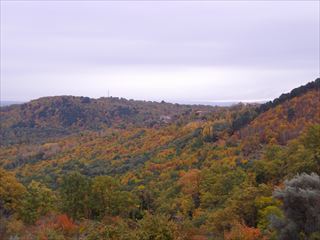 e0120938_07511934.jpg