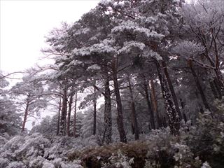 e0120938_07511954.jpg