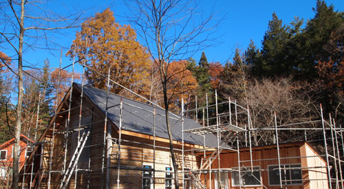 c0089242_9505893.jpg