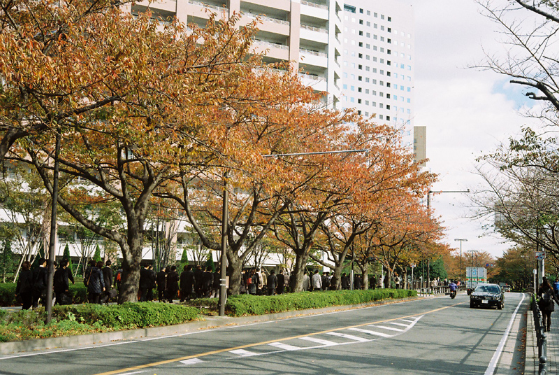 紅葉2013＠川崎_b0067346_2381025.jpg