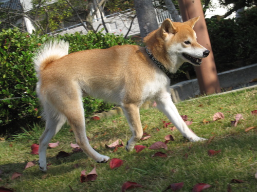 f0245650_8333953.jpg