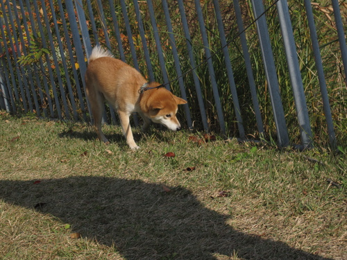 f0245650_8551619.jpg