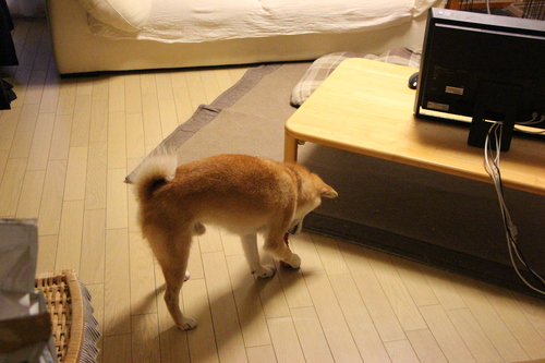 f0245650_95284.jpg