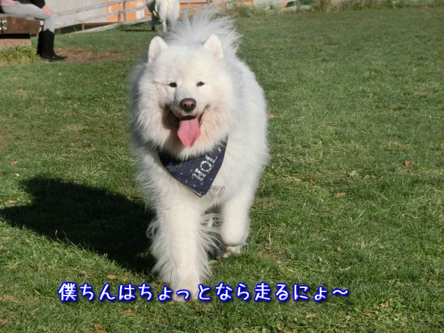 a0166954_23183032.jpg