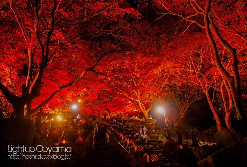 大山紅葉ライトアップに行ってきました♪_c0266456_23251114.jpg