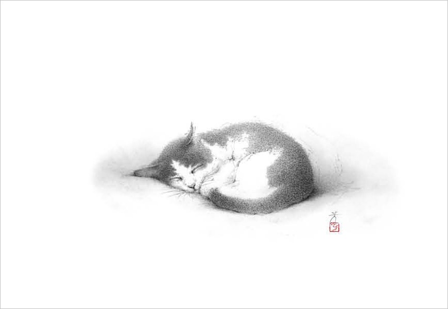 『(ねこ)絵葉書四枚セット(封筒付)』 Ⅱ_f0159856_7225955.jpg