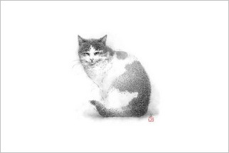 『(ねこ)絵葉書四枚セット(封筒付)』 Ⅲ_f0159856_7361567.jpg