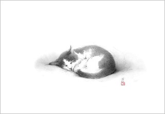 『(ねこ)絵葉書四枚セット(封筒付)』 Ⅲ_f0159856_7363112.jpg
