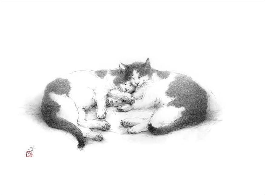 『(ねこ)絵葉書四枚セット(封筒付)』 4 _f0159856_744302.jpg