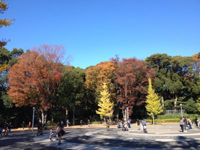 紅葉コレクション_b0211757_1171024.jpg