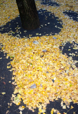 a0248459_20011132.jpg