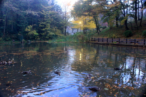 a0248459_20030174.jpg