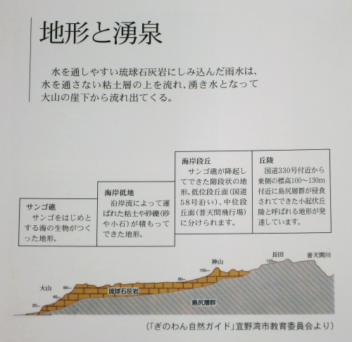 宜野湾の湧水 沖縄生活 宜野湾の湧水 沖縄生活