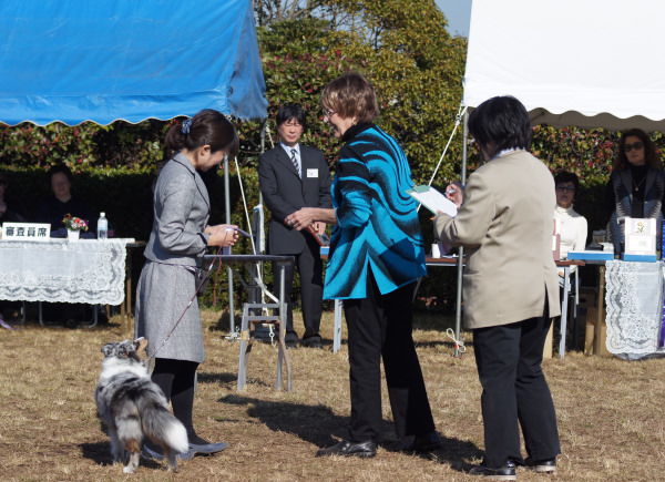 JKC東京東シェルティクラブ単独展_f0126965_922971.jpg