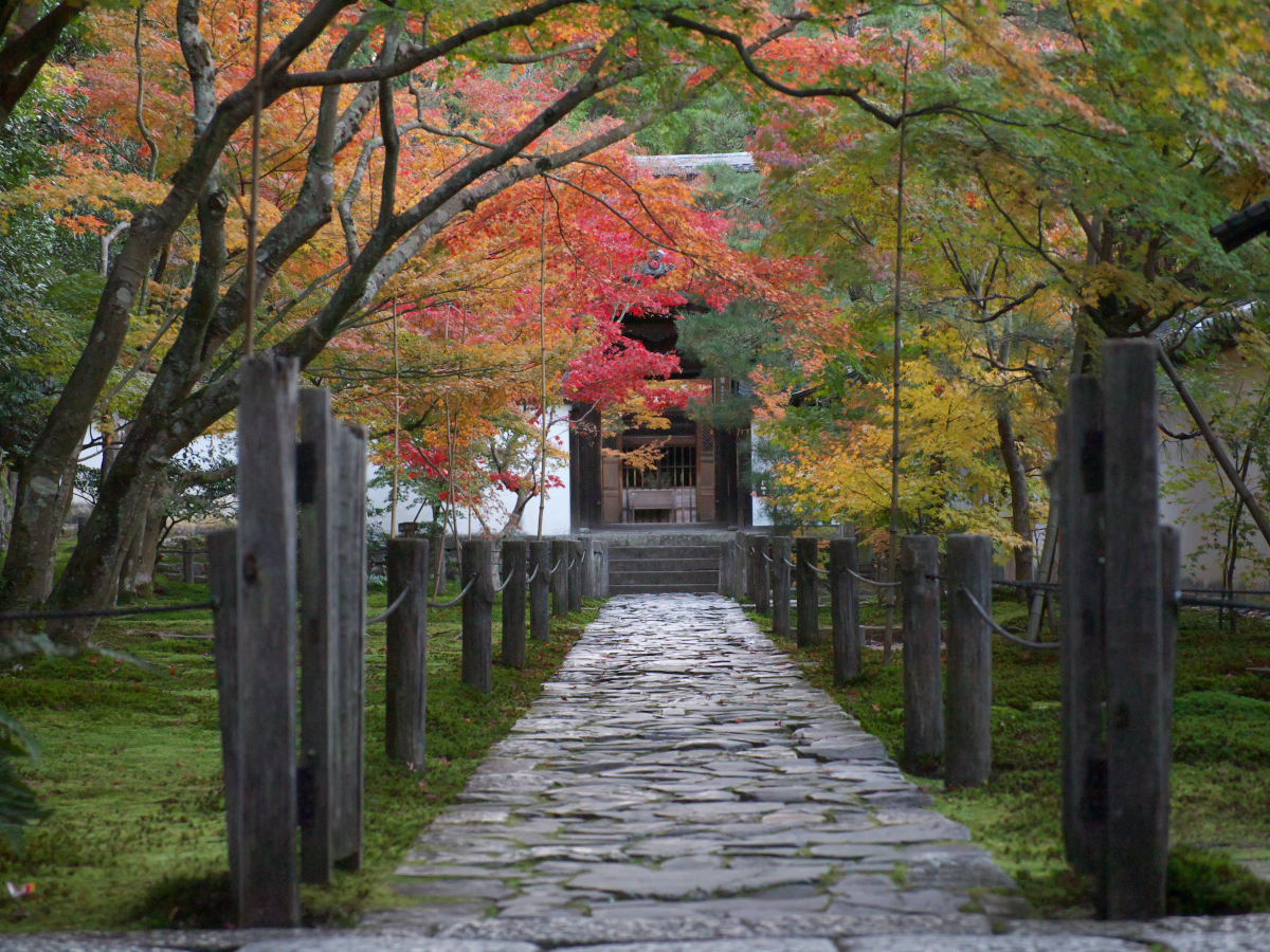 紅葉 2013 <一休寺>　　　　　　　　_f0021869_3324333.jpg