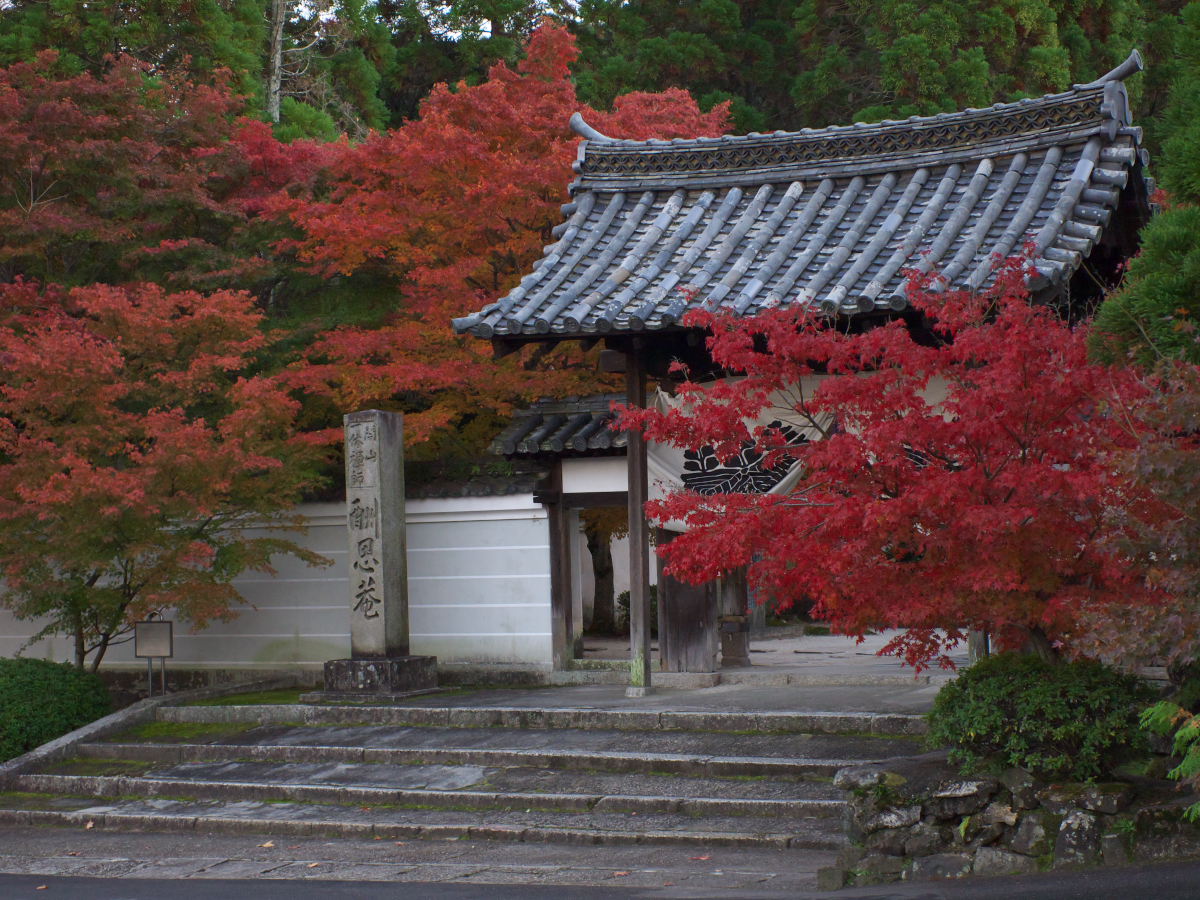 紅葉 2013 <一休寺>　　　　　　　　_f0021869_3333680.jpg