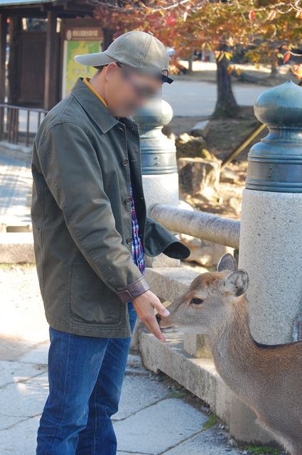 奈良・京都への旅①・・・鹿と戯れる_d0172270_1133896.jpg