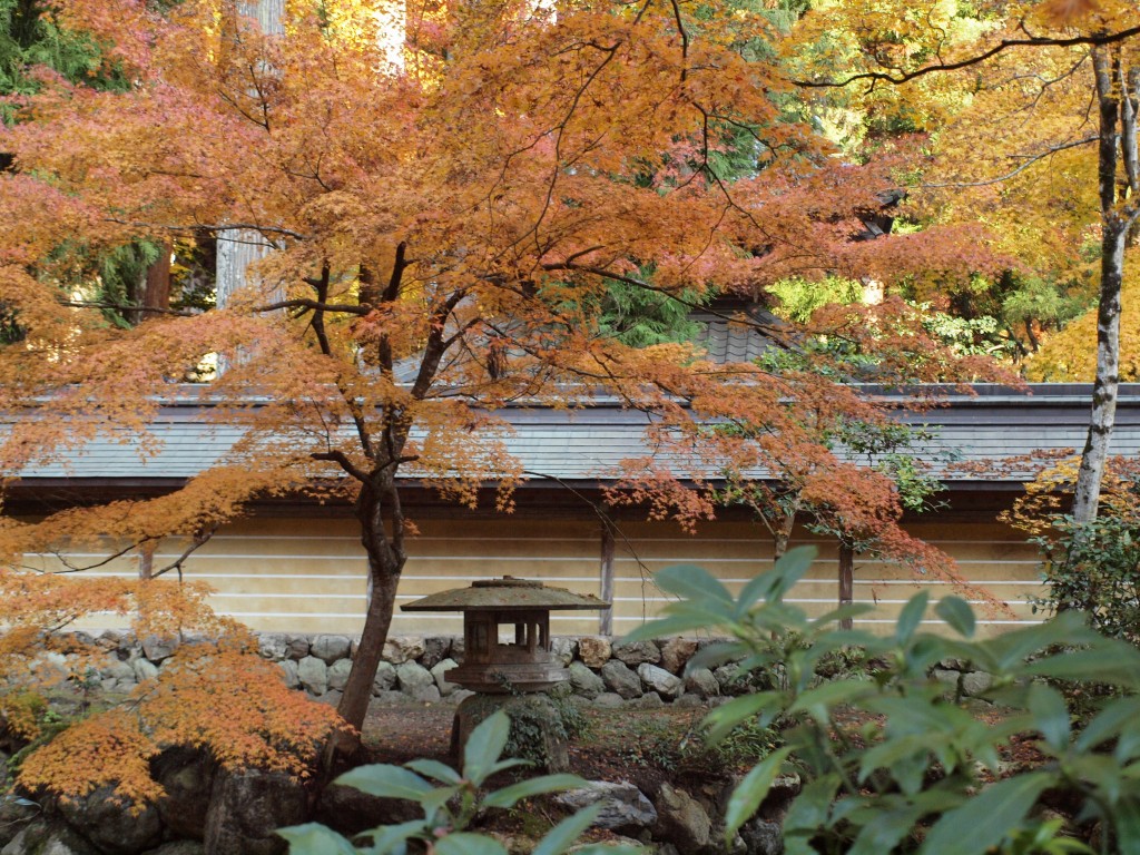 『紅葉と石灯籠の風景・・・・・』_d0054276_20421527.jpg