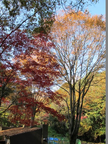 c0070377_16365096.jpg