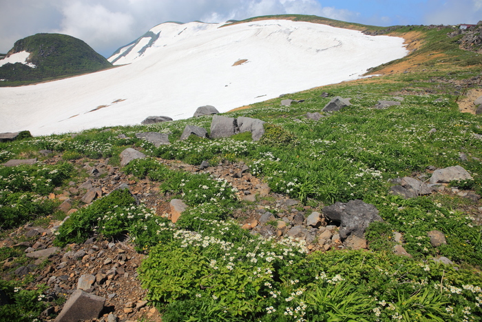 2236m　～鳥海山　Ⅶ_f0057178_672552.jpg