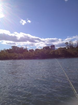 f0306678_7442939.jpg