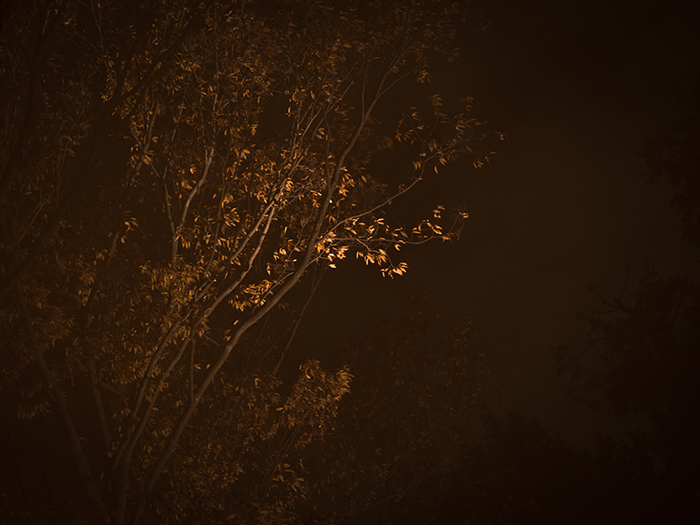 江戸たてもの園*紅葉ライトアップ2*_a0161380_1303994.jpg