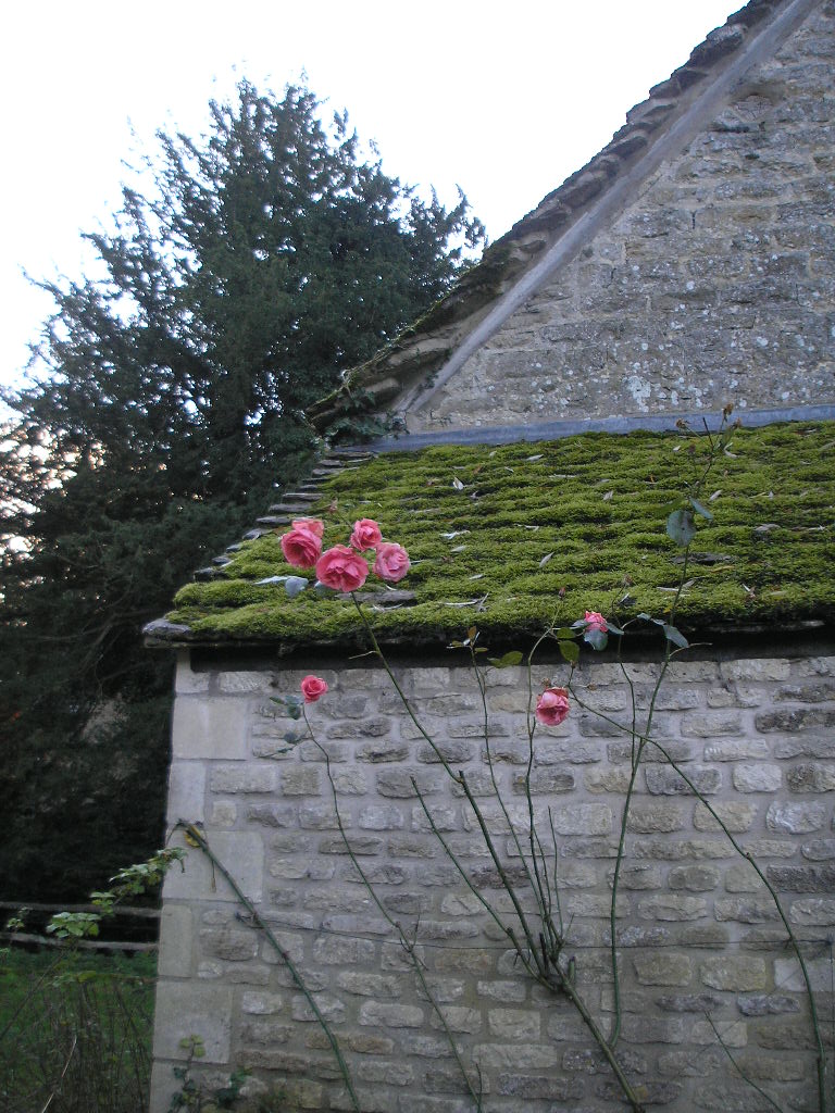 b0192980_2356561.jpg