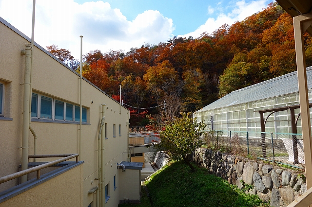 宝塚・希望の家さん発祥の地へ_a0277483_6513684.jpg