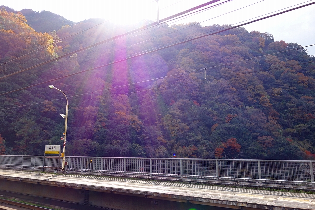 宝塚・希望の家さん発祥の地へ_a0277483_6521417.jpg