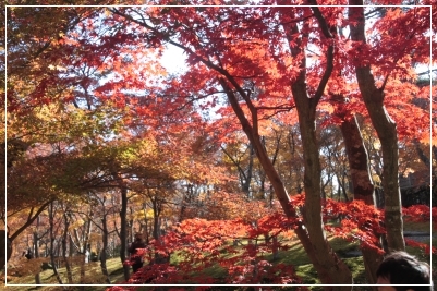 紅葉　　～ 箱根美術館 ～_b0207284_6411687.jpg