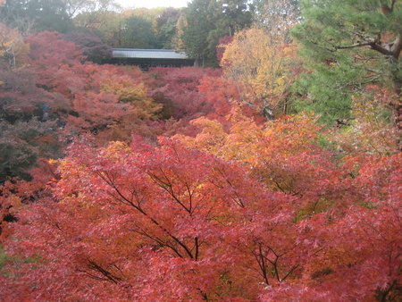 c0013687_7463679.jpg