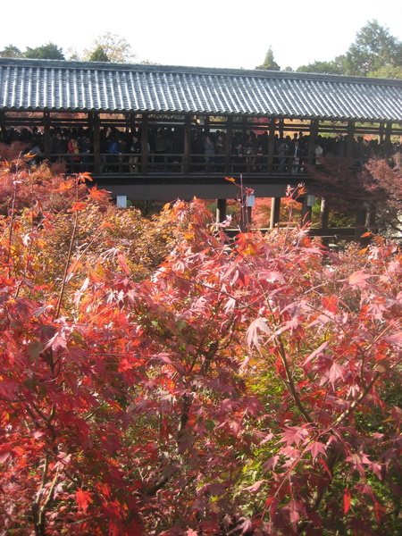 c0013687_7484660.jpg