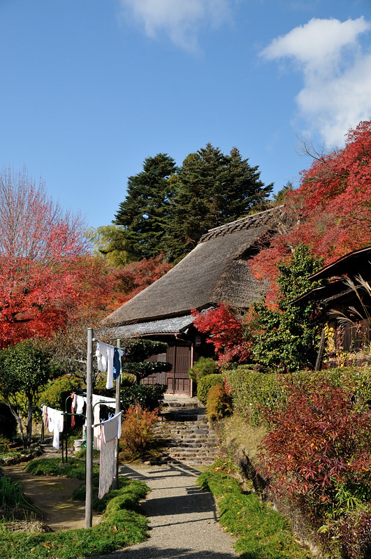 2013　１１　２３　嵐山周辺紅葉撮影会　その２_a0143491_2225147.jpg