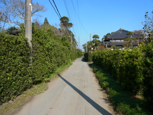 c0168891_2338052.jpg