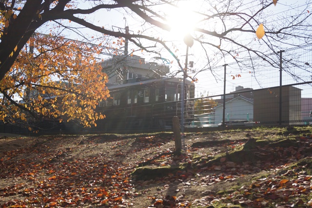 幸福を運ぶ阪急電車、夙川公園からの贈り物、夙川公園の鉄道、美しい秋夙川公園の桜_d0181492_21501932.jpg