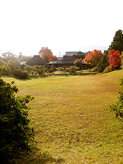 a0118993_20291244.jpg