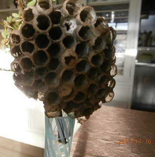 e0034493_1310416.jpg