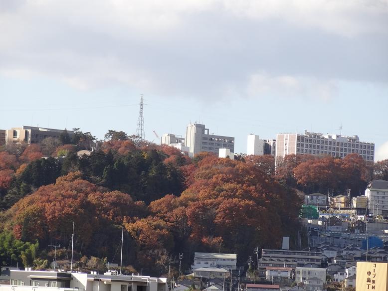 f0075595_2355079.jpg